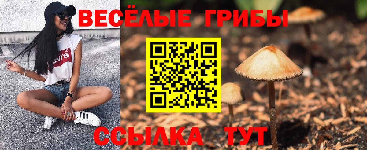 Псилоцибиновые грибы мухоморы Белореченск