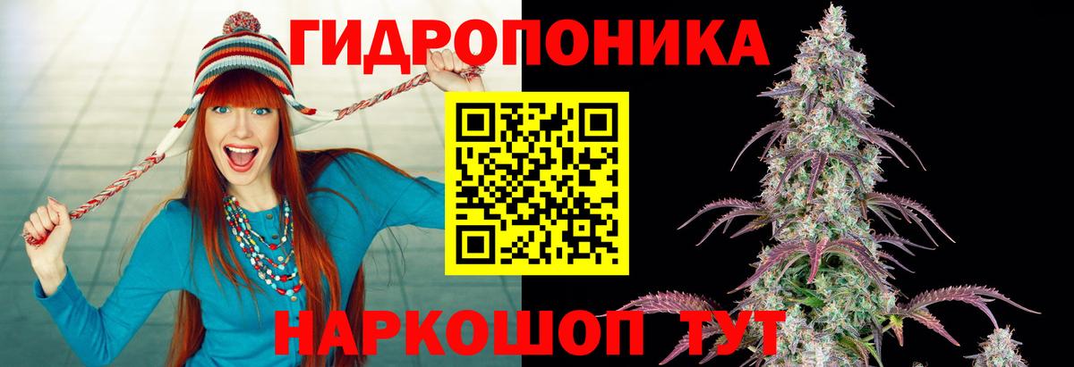 Бошки Шишки ГИДРОПОН Белореченск